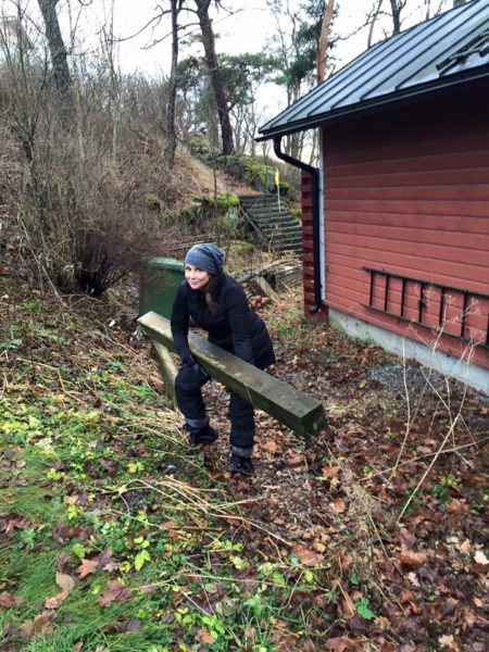 I en trädgård på ca 2800 kvadrat finns det alltid något att släpa, bära, röja osv. Bilden är tagen på lilla lillajulsafton och varenda muskel ropade Hosianna följande dag..och några dagar framövrer.